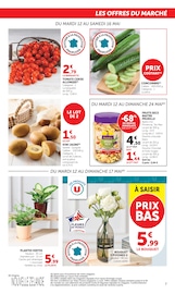 Promos Plante Verte dans le catalogue "U Express" de U Express Plante Verte en promo dans le catalogue U Express à la page 7