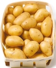 Speisekartoffeln bei Netto mit dem Scottie im Dresden Prospekt für 1,49 €