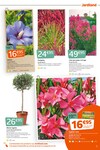 Plantes Plantes