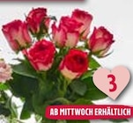 E center Oberboihingen Prospekt mit  im Angebot für 12,99 €