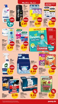 Pampers im Penny Prospekt "Wer günstig will, muss Penny." mit 42 Seiten (Halle (Saale))