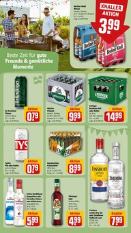 Gin im REWE Prospekt "Dein Markt" mit 30 Seiten (Magdeburg)