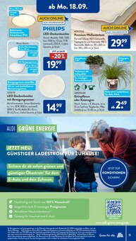 Pflanzen Angebot im ALDI SÜD Prospekt, gültig von 18.09.2023 bis 23.09.2023 Pflanzen Angebot im aktuellen ALDI SÜD Prospekt auf Seite 19