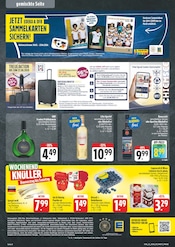 Wein im EDEKA Prospekt in Nürnberg Aktueller EDEKA Prospekt mit Wein, "Wir lieben Lebensmittel!", Seite 8