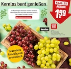 Aktuelle Weintrauben Angebote bei REWE in Dortmund Aktuelles Mix Tafeltrauben Angebot bei REWE in Dortmund ab 1,99 €