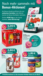 REWE Coca Cola im Prospekt 