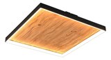 LED-Deckenleuchte Kalea von Trio im aktuellen Segmüller Prospekt für 112,99 €