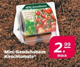 Mini-Gewächshaus Kirsch tomate Angebote bei Netto mit dem Scottie Schwerin für 2,99 €