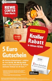 Der aktuelle REWE Prospekt "Dein Markt" mit  Seiten (Braunschweig)