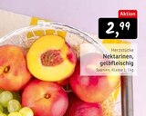 Aktuelles Nektarinen, gelbfleischig Angebot bei Konsum in Dresden ab 2,99 €