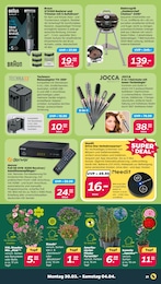 Elektrogrill Angebot im aktuellen Netto mit dem Scottie Prospekt auf Seite 27