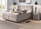 Boxspringbett oder Nachtschrank im XXXLutz Möbelhäuser Prospekt Boxspringbett oder Nachtschrank von Dieter Knoll im aktuellen XXXLutz Möbelhäuser Prospekt für 399,00 €