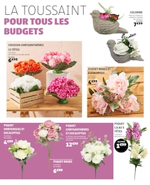 Offre Plante D'intérieur dans le catalogue Gifi du moment à la page 20