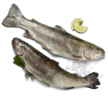 Regenbogenforelle von  im aktuellen Kaufland Prospekt für 1,19 €