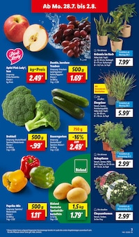 Kartoffeln im Lidl Prospekt "LIDL LOHNT SICH" mit 66 Seiten (Cottbus)