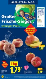 Aktueller Lidl Prospekt mit Mango, "LIDL LOHNT SICH", Seite 2