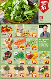 Tomaten im REWE Prospekt "Dein Markt" mit 32 Seiten (Lübeck)