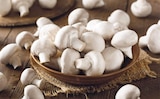 Weiße Champignons von  im aktuellen REWE Prospekt für 1,59 €
