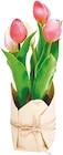 Deko-Tulpe im Rossmann Prospekt Deko-Tulpe im aktuellen Rossmann Prospekt für 5,99 €