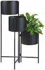 Pflanztopf im Angebot bei XXXLutz Möbelhäuser in Sindelfingen Pflanztopf Angebote von Ambia Home bei XXXLutz Möbelhäuser Sindelfingen für 39,99 €