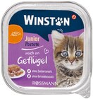 Katze Feine Pastete von Winston im aktuellen Rossmann Prospekt