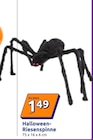 Halloween-Riesenspinne im Angebot bei Action in Siegburg Halloween-Riesenspinne Angebote bei Action Siegburg für 1,49 €