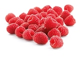 Himbeeren im aktuellen Prospekt bei Penny in Altendorf