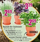 Regionale Bio-Salatkräuter im Hornbach Prospekt zum Preis von 2,69 €