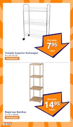 Regal Angebot im aktuellen Action Prospekt auf Seite 10