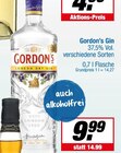Gin im Angebot bei EDEKA in Warendorf Gin Angebote von Gordon’s bei EDEKA Warendorf für 9,99 €