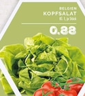 EDEKA Dinslaken Prospekt mit  im Angebot für 0,88 €