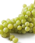Lidl Anduze - Promo Bio raisin blanc sans pépins Promo Bio raisin blanc sans pépins à 1,97 € dans le catalogue Lidl à Anduze