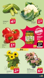Gemüse Angebot im aktuellen Netto mit dem Scottie Prospekt auf Seite 3