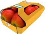 Rote Tafeläpfel im Angebot bei REWE in Menden Rote Tafeläpfel Angebote von REWE Regional bei REWE Menden für 1,59 €