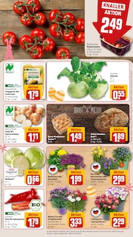 Blumen im aktuellen REWE Prospekt (Siegen (Universitätsstadt)) Blumen im REWE Prospekt "Dein Markt" mit 32 Seiten (Siegen (Universitätsstadt))