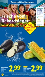 Aktueller Lidl Prospekt mit Gemüse, "LIDL LOHNT SICH", Seite 6