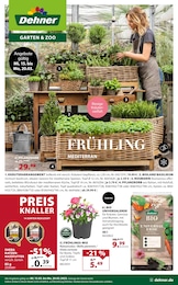 Dehner Gartencenter Prospekt mit 16 Seiten