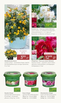 Pflanzen im Pflanzen Kölle Prospekt "BLÜTENZAUBER FÜR ZUHAUSE" mit 14 Seiten (Nürnberg)
