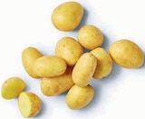Kartoffellieblinge im Angebot bei Markant Nordwest in Lippstadt Kartoffellieblinge Angebote bei Markant Nordwest Lippstadt für 1,39 €