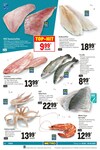 Fisch Fisch