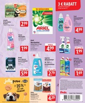 Aktueller famila Nordost Prospekt mit Ariel, "besser als gut!", Seite 19