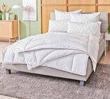 Aktuelles Ganzjahresbett Gabriella Angebot bei Segmüller in Leverkusen ab 19,99 €