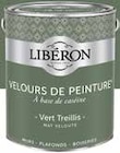 Velours de peinture vert treillis - Liberon - Castorama à Malakoff Velours de peinture vert treillis - Liberon en promo chez Castorama Malakoff à 52,90 €