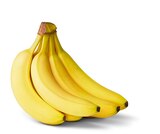 Bananen Angebote bei Penny Homburg für 1,11 €