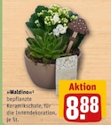 Waldino im Angebot bei REWE in Hilden Waldino Angebote bei REWE Hilden für 8,88 €