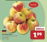Tafeläpfel Elstar bei combi im Alfhausen Prospekt für 1,99 €