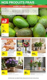 Promos Chrysanthèmes dans le catalogue "Carrefour" de Carrefour Chrysanthèmes en promo dans le catalogue Carrefour à la page 26