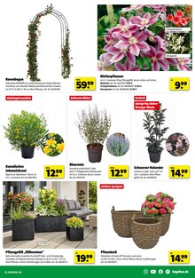 Blumentopf im aktuellen Hagebaumarkt Prospekt (Mainz) Blumentopf im Hagebaumarkt Prospekt "SO günstig geht das!" mit 18 Seiten (Mainz)