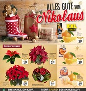 Aktueller Marktkauf Prospekt mit Weihnachtsstern, "Aktuelle Angebote", Seite 4