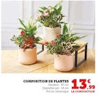 Composition de plantes en promo à 13,99 € chez Hyper U Composition de plantes dans le catalogue Hyper U